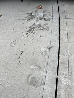 Homebrew - Carboy accident