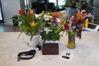 Benny Brooks - Benny