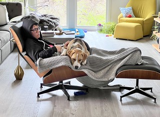 2737 - Sick day stuff