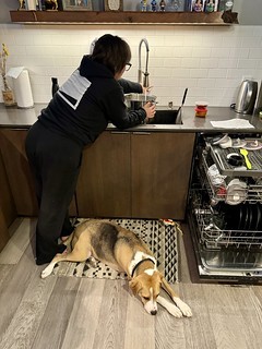 Don’t disturb the dog.