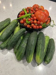 Garden - Today’s garden pull