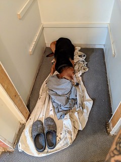 I was about to paint this closet, but Garth had other ideas.