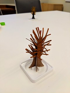 Venmo - Growing a tree