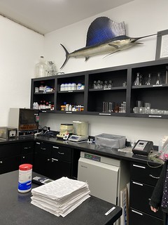 Brewery - Exile brewery has a lab