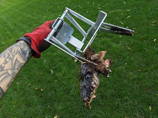 Mole - Hot another one! Die, bitch!