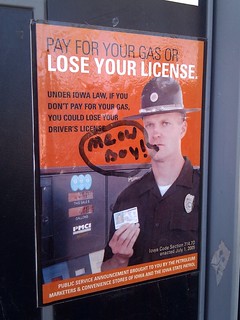 Signs - Lose your license meow boy