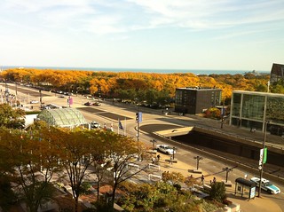 Mobile - Changing leaves from the office