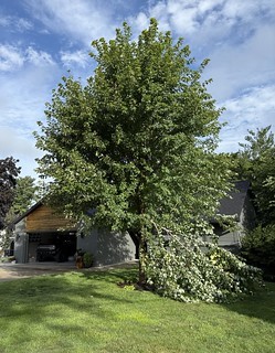 Storm damage at the Dead End Ranch
