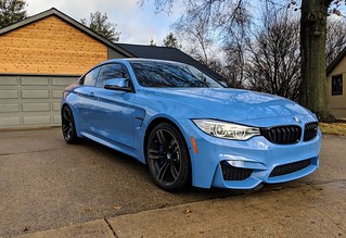 2737 - Bringin lil baby smurf out to play. She's been couped up for a few weeks.