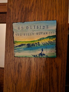 Go outside you silly human