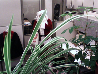 Botanical Santa