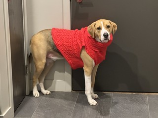 Dress Up - Durby is over this party