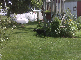 Ninja at Zach's dad's place.