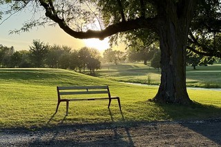 Sunset - Watching dragonflies on the 9th tee box