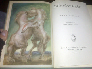 Horse - Thunderhead Horses