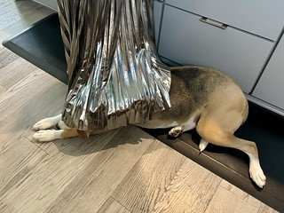 Durby is ready for our guests to leave