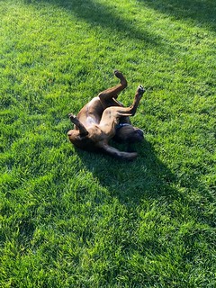 Benny Brooks - Feels good, man