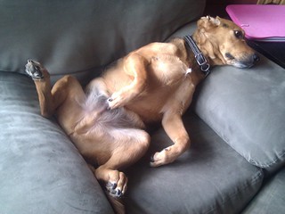 Garth Brooks Loungin...