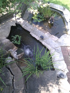 Grandma's fish ponds