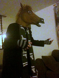 Horse Mask - a horse, of course