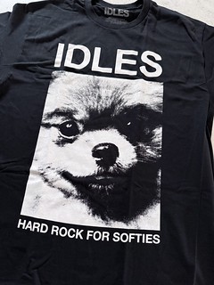 Forgot that I ordered this IDLES shirt, haha