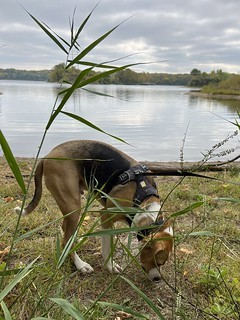 Explorin Raccoon River Park
