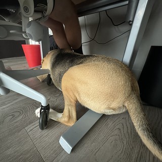 This cannot be comfortable