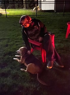 Covid-19 - Hangin by the fire