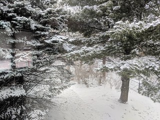 Snow - Got some snow in April