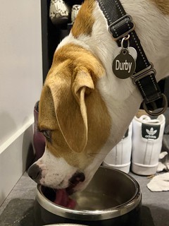 Durby drinks like a weirdo