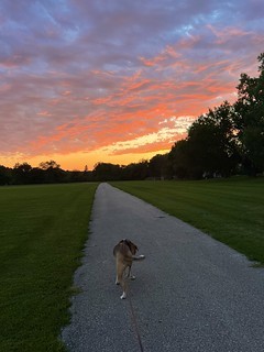 Sunset - Nice night for a walk
