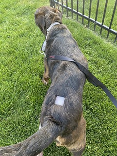 Benny Brooks - Look at this patch