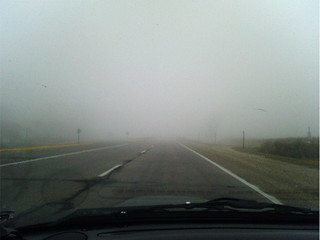Fog is Sweet