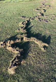 Willow Creek - Golf course tremors