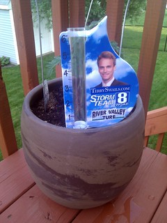 Terry Swails in Kari's patio tomatoes