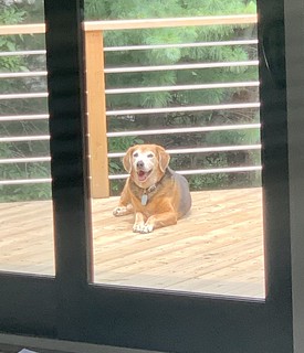 Happy man loves basking on the deck