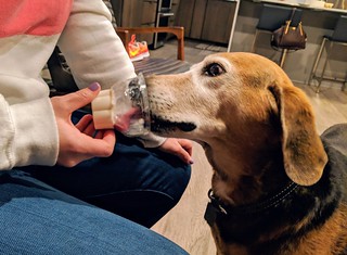 Ice cream - Birthday boy