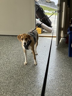 This was a stressful situation that he got himself into