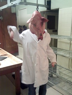 Lady GaGa's meat dress ain't got shit on this...