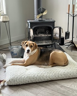 Durby is wondering where his fire is