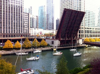 Fall sailboats coming in