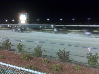 The blurry things are horses and carts