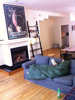 First time using the fireplace at my Chicago house.