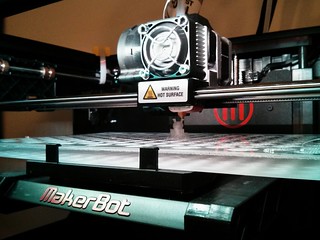 Baby dunny in progress