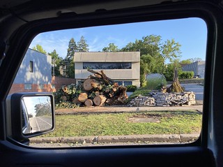 Piles of trees along Ingersoll