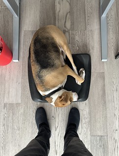 Durby is fighting me for my standing mat today.