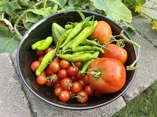 Garden - Garden stuffs