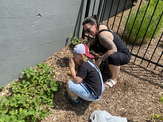 Garden - It's important to taste things when planting a garden