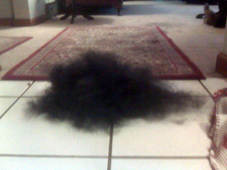 A pile of Ninja hair after using the Fur Buster for a bit.