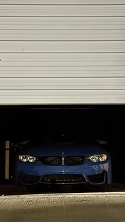 Goodnight, Sweet Prince